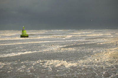 Springtij! De hevige NW storm joeg wat later hele proppen zeeschuim over de duinengordel, de baan over en zo het veld in. een machtig spektakel. De kievitten wisten niet wat ze zagen.