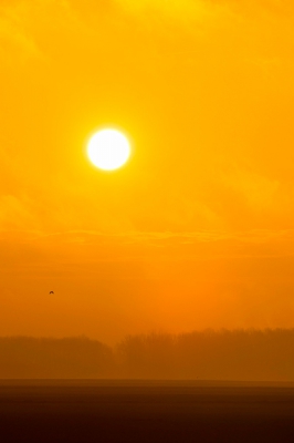 <i class='fa fa-user'></i> avdstelt | Zonsopkomst in de Biesbosch  <i class='fa fa-eye'> 134</i>   <i class='fa fa-comment-o'> 2</i>