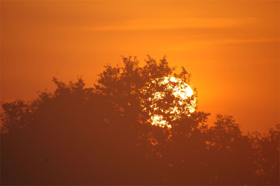 iets eerder da dan de vorig en de zon is een must.......