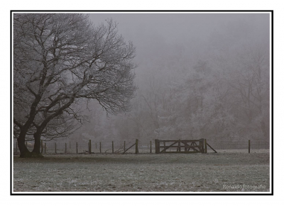 Een winterslandschap in natuurgebied Loenenrmark in Loenen