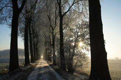 ook nog maar een winters plaatje