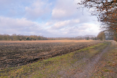 <i class='fa fa-user'></i> Wim de Louwere-Landauer92 | Natuurgebied Brabants Landschap: Valkenhorst,  <i class='fa fa-eye'> 135</i>   <i class='fa fa-comment-o'> 10</i>