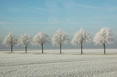 <i class='fa fa-user'></i> dremelink | Winter in de polder  <i class='fa fa-eye'> 169</i>   <i class='fa fa-comment-o'> 6</i>