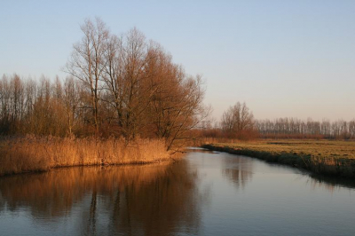 landschap in de biesbos genomen met canon  eos 400D bij ondergaande zon