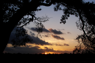 Prachtige zonsondergang was het vanavond k'heb er met volle teugen van genoten!! De lucht bleef nog lang 'nagloeien'.