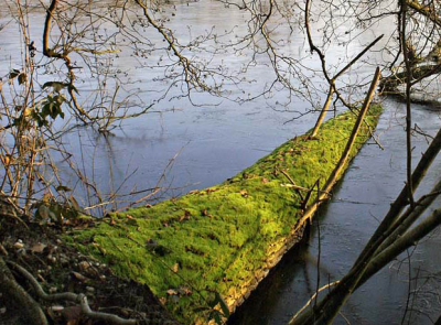 boom in water met mos