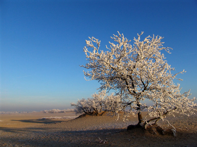 Prachtig winterlandschap op de zandverstuiving.