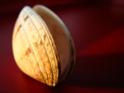 even proberen, eerste foto op nederpix...