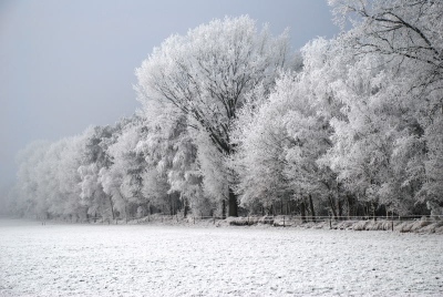 Mooie foto van het landschap zoals de boer het ziet als het een keertje sneeuwt in Nederland.