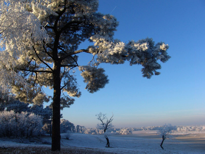 Winterlandschap aan de rand van de zandverstuiving