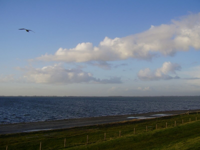 Even met mn baby-dochter de dijk op om te genieten van het mooie weer, na het slechte weer van de laaste dagen.