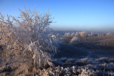 Nog even een aantal foto's van veluwezoom in rijp. 
Net een marslandschap met al het rijp op de heuvels. Met een beetje hulp van de polirisatie filter tot dit resultaat.
De rest van de foto serie is te zien op de 'alle natuurgebieden van nederland' site op url. www.lutfiuzun.nl