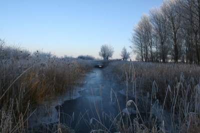Landschap van Oostvaardersplassen