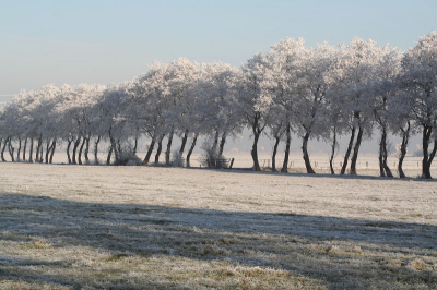 Mijn eerste upload op nederpix. Deze foto is genomen met de 18-55. Enige bewerking is unsharp mask.

Commentaar is altijd welkom