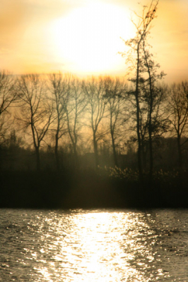vanmorgen ben ik voor de eerste keer de zonsopkomst gaan fotograveren. Dit is het resultaat
(graag tips voor de volgende keer)
Grtz-Robbert