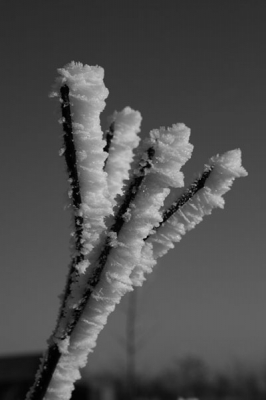 Gemaakt in dat mooie sneeuwweekend. Ik bleef plaatjes schieten!