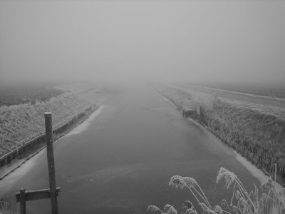 Op deze dag lag er een witte laag over het landschap en daarbij was er een dichte mist, wat een heel apart effect aan de foto's gaf.