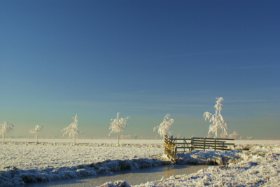 Eentje van de winterse dag, 22 december 2007.