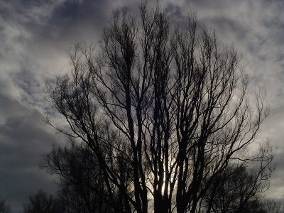 dit is mijn eerste foto leuk heeee daaaaaaag