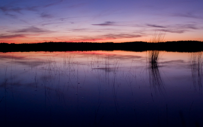 De gecorrigeerde versie met de horizon recht gezet.
Zonsondergang op het Doldersummerveld met reflexie in een vennetje. Het bos op de achtergrond zorgt voor een lijn in het landschap.