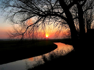 Foto gemaakt bij het natuurgebied Hoeksmeer ,nabij Garrelsweer.