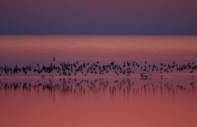 EOS 40D, Stativ, 500mm