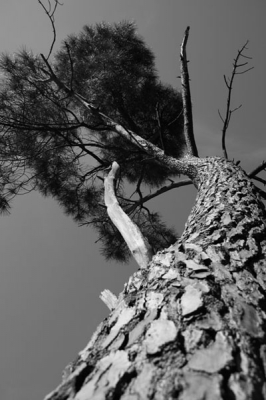 Canon EOS 400D
Canon 18-55mm Lens