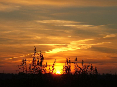 foto s'morgens om 08:20uur gemaakt