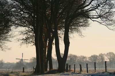 Genomen met de 70-300 om 8:33

De molen op op de achtergrond ligt in westerveld

Gegevens:
1/320
f 5.6
iso 100
centrum meting

Bewerking: USM, saturatie, contrast iets omhoog en iets donkerder gemaakt.

Ben benieuwd naar jullie mening/tips!