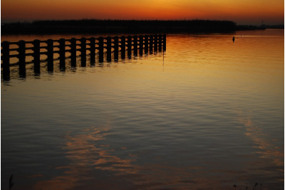 Eerste foto op Nederpix!!