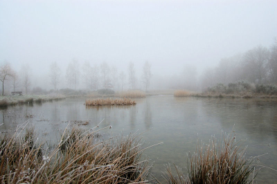 een mistige nieuwjaarsmorgen
