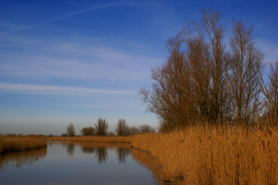 Maandag 25 februari naar de oostvaardersplassen geweest, deze foto gemaakt. kleuren gekregen door polarisatiefilter.