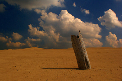 Gemaakt op de hoge veluwe, plat op mijn buik voor de lage standpunt.