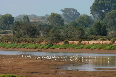 <i class='fa fa-user'></i> Rudi Debruyne | Landschap in Marokko estuaria  <i class='fa fa-eye'> 438</i>   <i class='fa fa-comment-o'> 1</i>