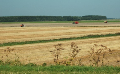 <i class='fa fa-user'></i> henkdikkers | Landschap  <i class='fa fa-eye'> 330</i>   <i class='fa fa-comment-o'> 3</i>