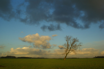 Een stormachtige middag, wolkendek die jagen langs de lucht. Een foto waard: met dit als resultaat.

www.fotografienatuur.web-log.nl