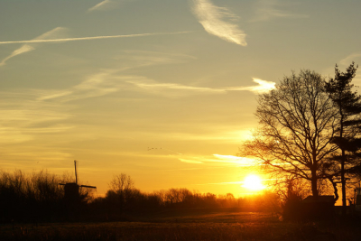 op een vroege dag deze foto gemaakt. 

Groetjes,
Jan Koppelaar
www.fotografienatuur.web-log.nl
