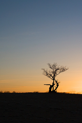 het is er prachtig in de duinen waneer bij heldere hemel de zon opkomt.