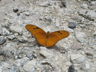 Met de macro gemaakt op Cuba