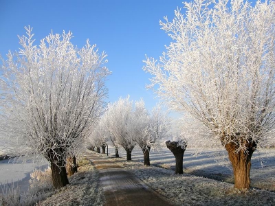 Genomen dichtbij het Tydemangemaal. Net op tijd dit punt bereikt, want de rijp was al aan het verdwijnen.