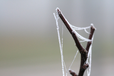 <i class='fa fa-user'></i> Hans de Braal | Wintertakje  <i class='fa fa-eye'> 88</i>   <i class='fa fa-comment-o'> 2</i>