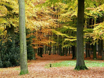 Op een sombere dag genomen.