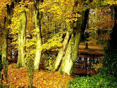 Genomen met Leica D-Lux
Exif: Aperture: F2.8, Shutter: 10/600 sec, Focal Length: 35mm, ISO: 100