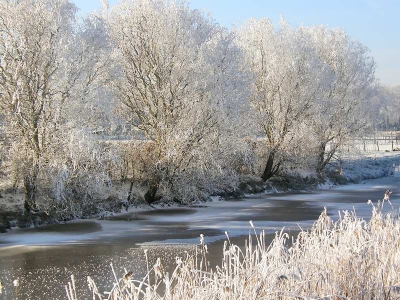 De zon stond zo laag dat de witte rijp als het ware oplichtte in het zonlicht.
Exif: Camera: Olympus SP550UZ, Aperture: F3.7, Shutter: 10/4000 sec, ISO: 50
Geen statief, geen flits.