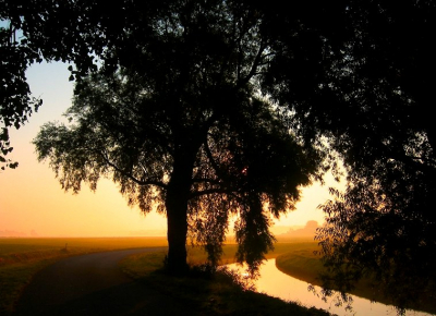De zon klom al boven de horizon uit in de vroege morgen
De wilgen boom staat er bijn a in silhouet