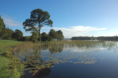 <i class='fa fa-user'></i>&nbsp;Rudi Debruyne&nbsp;| Meer in West-Ierland&nbsp; <i class='fa fa-eye'>&nbsp;372</i> &nbsp; <i class='fa fa-comment-o'>&nbsp;2</i>