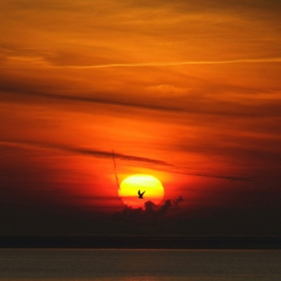 Door de koude luchtlagen waren er prachtige kleuren te zien! Normaal gesproken wordt de horizon vervuild door industrie rond Terneuzen. Dit was nu niet zichtbaar, behalve de rookpluim onder de zon!