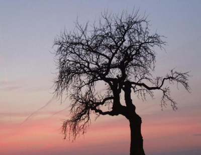 <i class='fa fa-user'></i> Susan | Avondrood  <i class='fa fa-eye'> 234</i>   <i class='fa fa-comment-o'> 6</i>