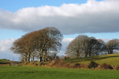 <i class='fa fa-user'></i> Rudi Debruyne | Landschap in Mid-West Ierland  <i class='fa fa-eye'> 364</i>   <i class='fa fa-comment-o'> 1</i>