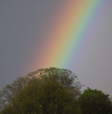 Na regen komt.... een regenboog?!!
